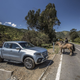 Illustration for article titled Mercedes X Class...first drive reports focus on it not being a Nissan...